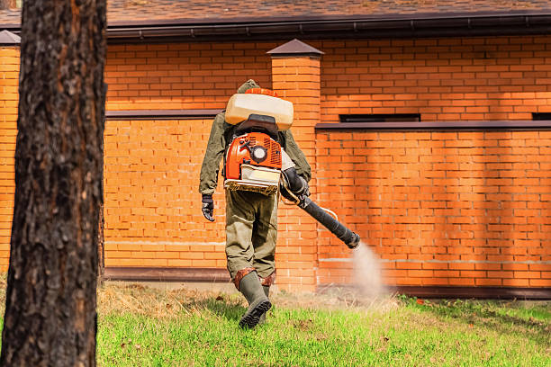 Trusted Bed Bug Control service in Shady Point, OK - Nex Pest Control